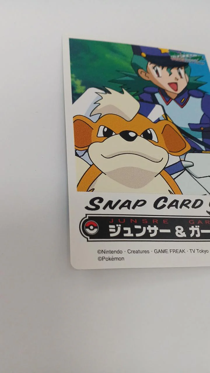 Pokémon Junsa & Guardian Snap Card - Image 2