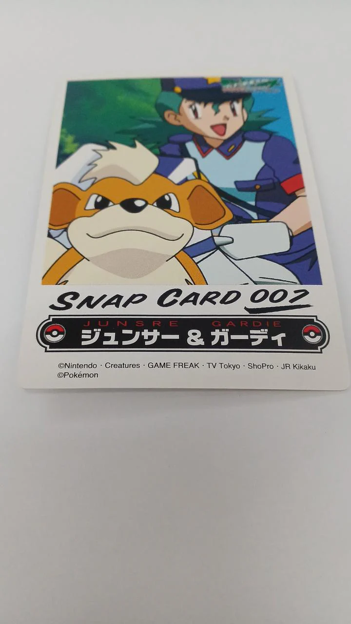 Pokémon Junsa & Guardian Snap Card - Image 3
