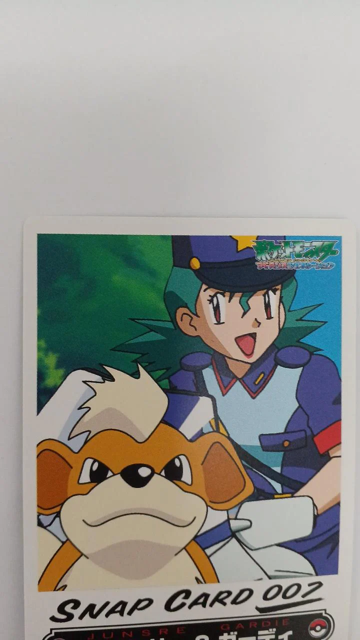 Pokémon Junsa & Guardian Snap Card - Image 7