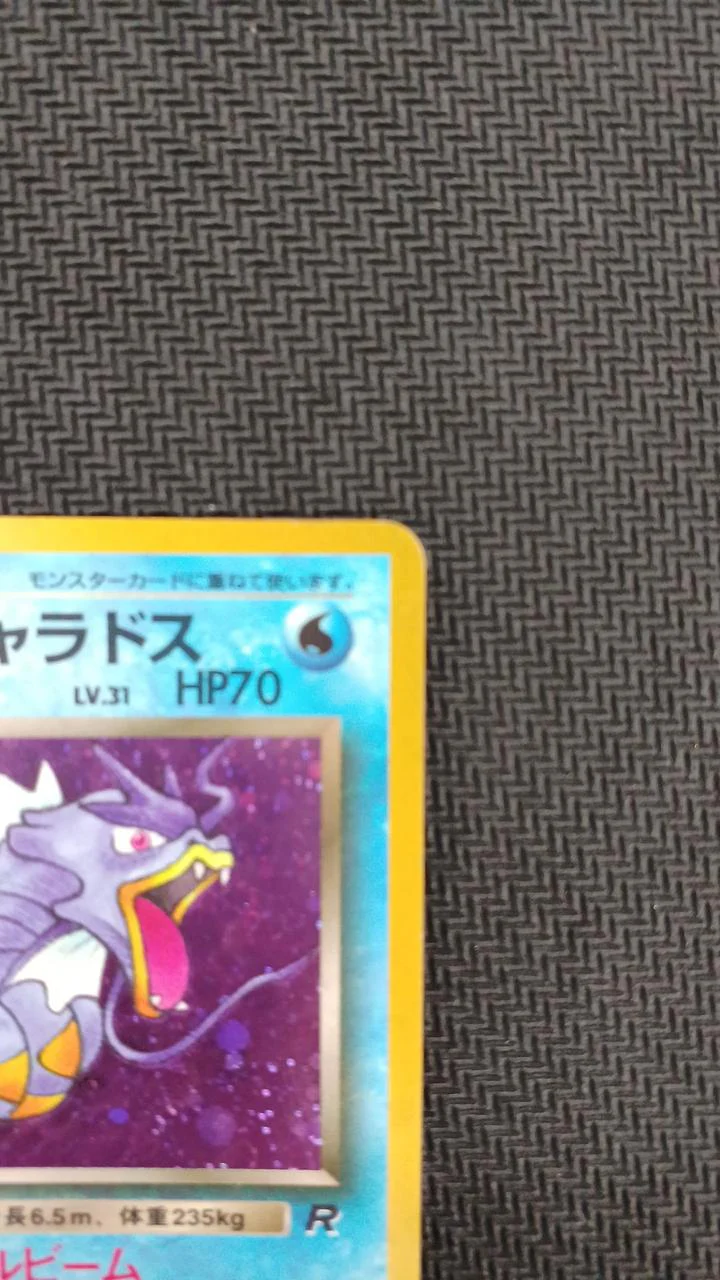 Pokemon Pokemon Card Dark Gyarados LV.31 - Image 3