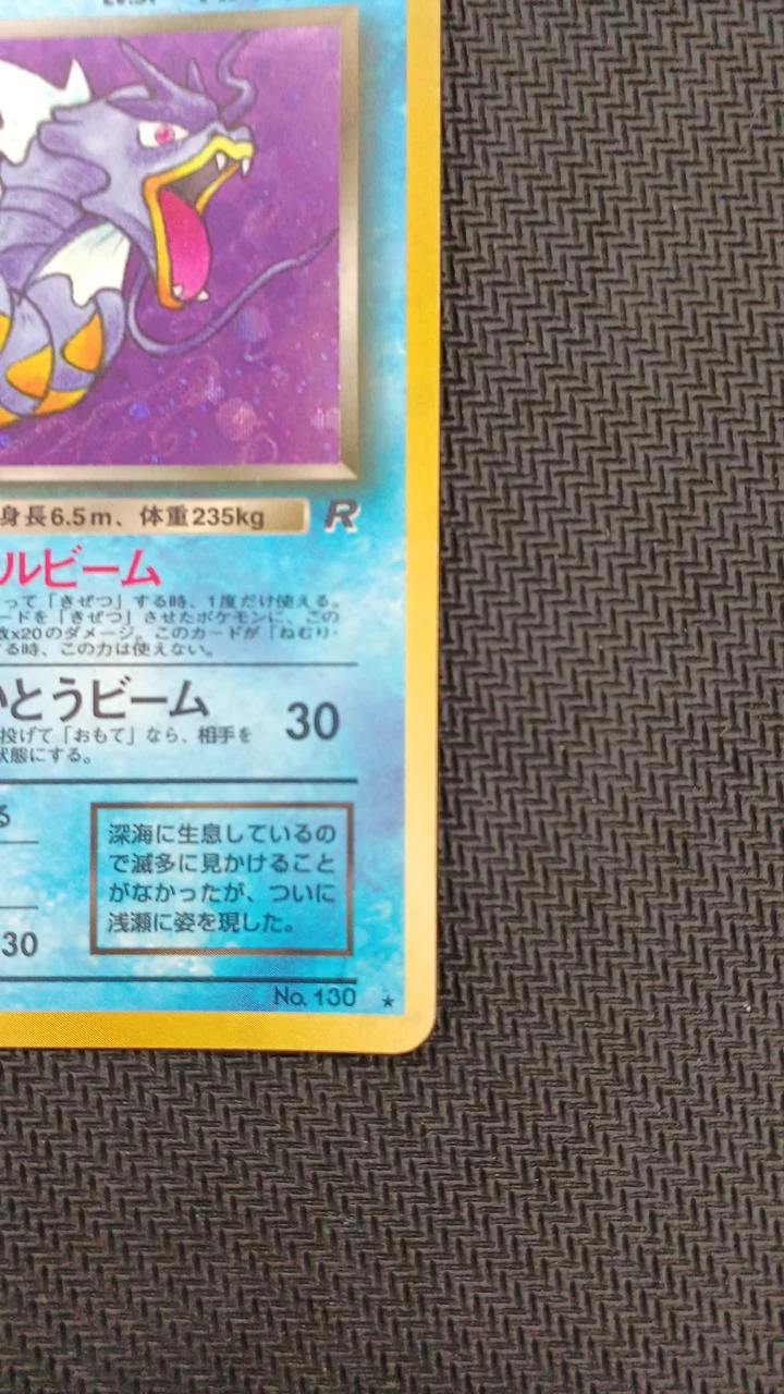 Pokemon Pokemon Card Dark Gyarados LV.31 - Image 4