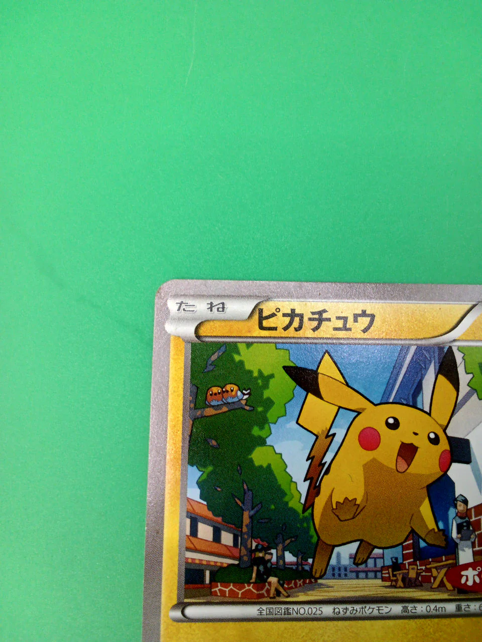 Pokemon Pokemon Card Pikachu 064/XY-P Pokemon Bread - Image 2