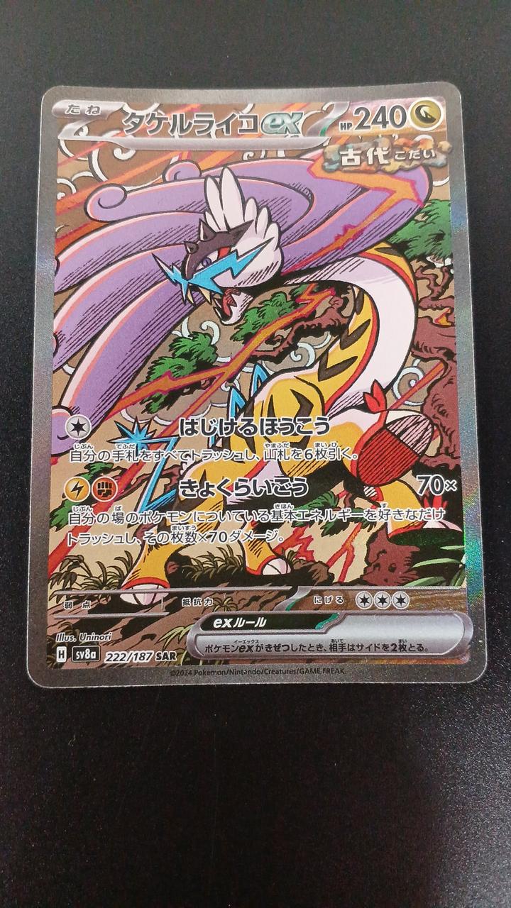 Pokémon Raging Bolt ex 222/187/SV8A/B SAR