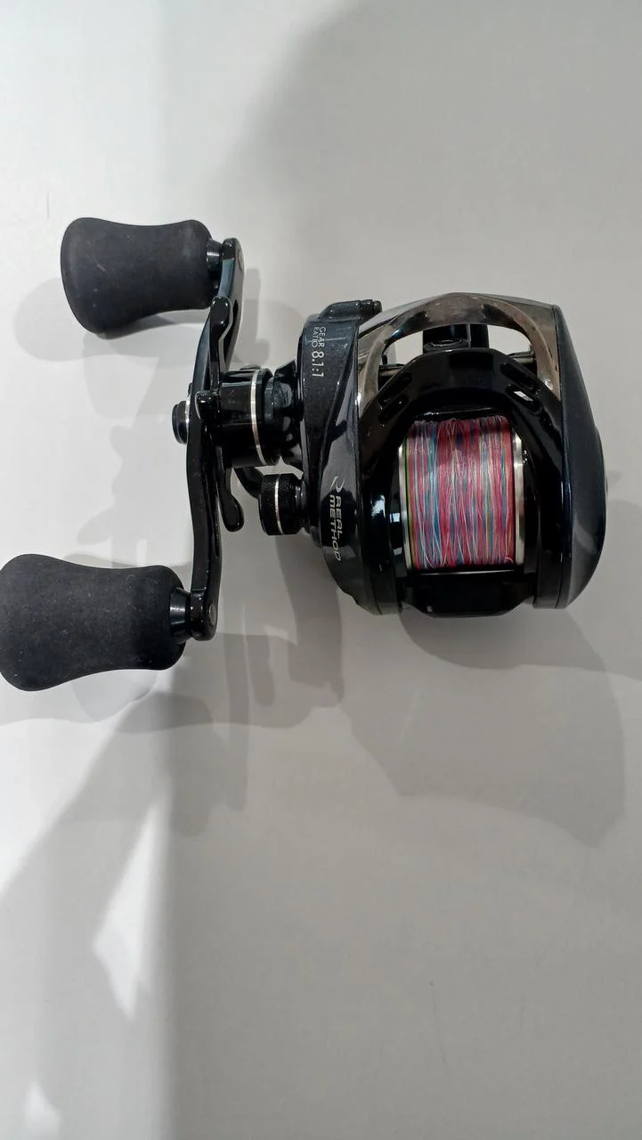 REAL METHOD Baitcasting reel ALEGRIA SW