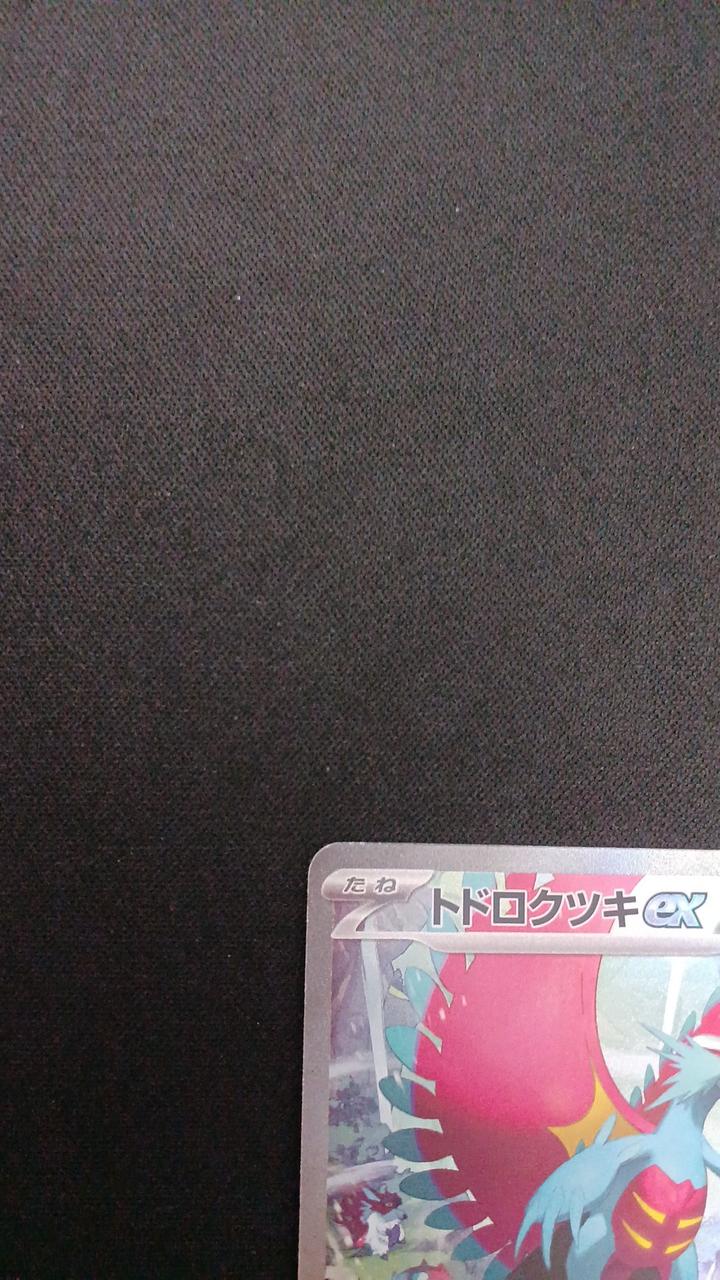 Roaring Moon ex 090/066/SV4K/B SAR - Image 2
