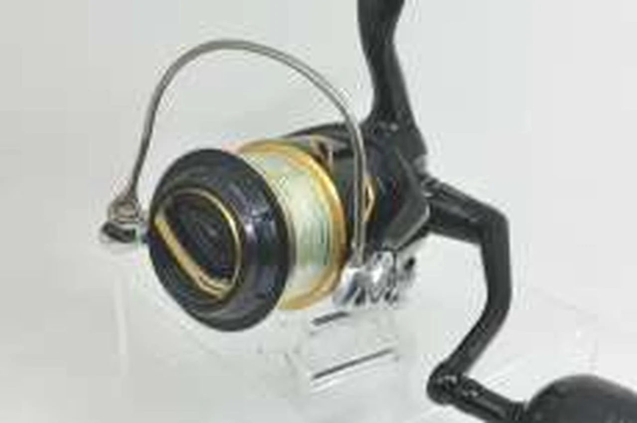 SHIMANO 19 Stella SW 8000PG (03966) 19 Stella SW 8000PG (03966) - Image 2