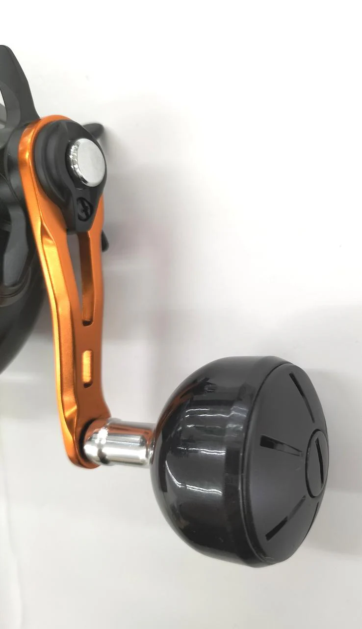 SHIMANO Baitcasting Reel Barchetta BB300HG - Image 4