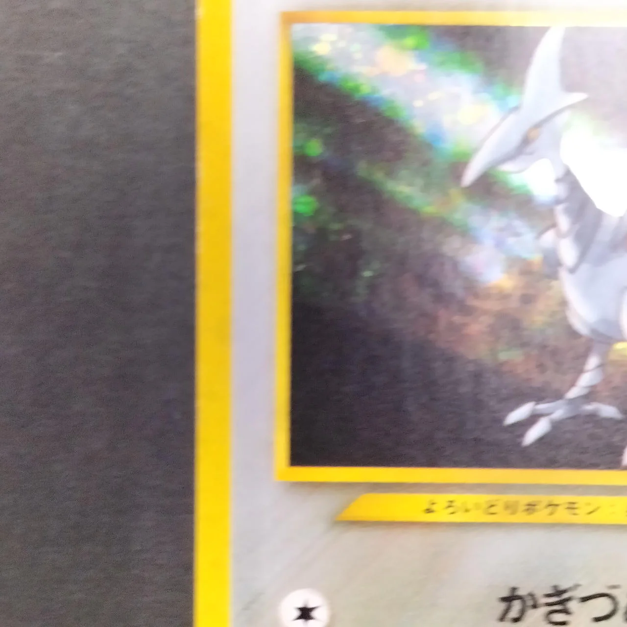 Skarmory LV.30 Old Back - Image 5