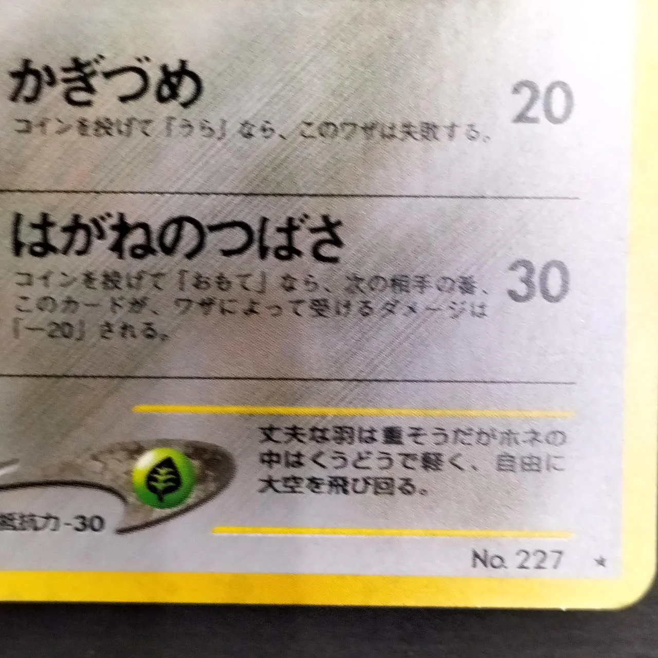Skarmory LV.30 Old Back - Image 9