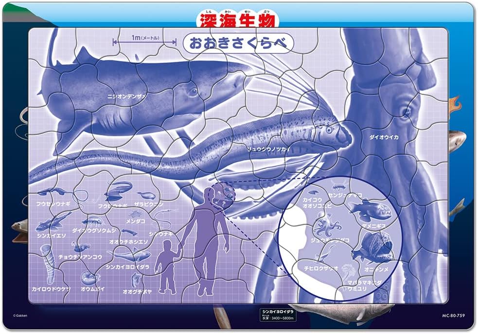 Tenyo ＭＣ－８０－７５９ Deep-sea Creatures Encyclopedia (Gakken Encyclopedia LIVE) - Image 4