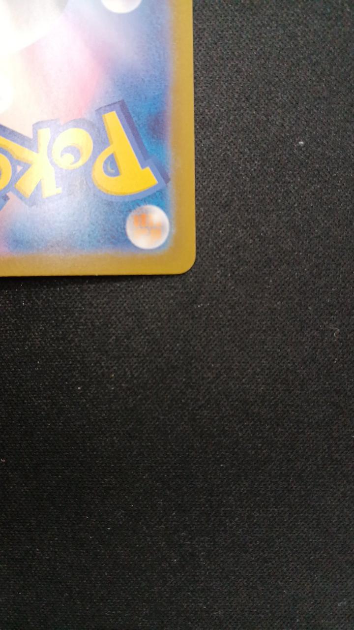 Tepig - Image 10