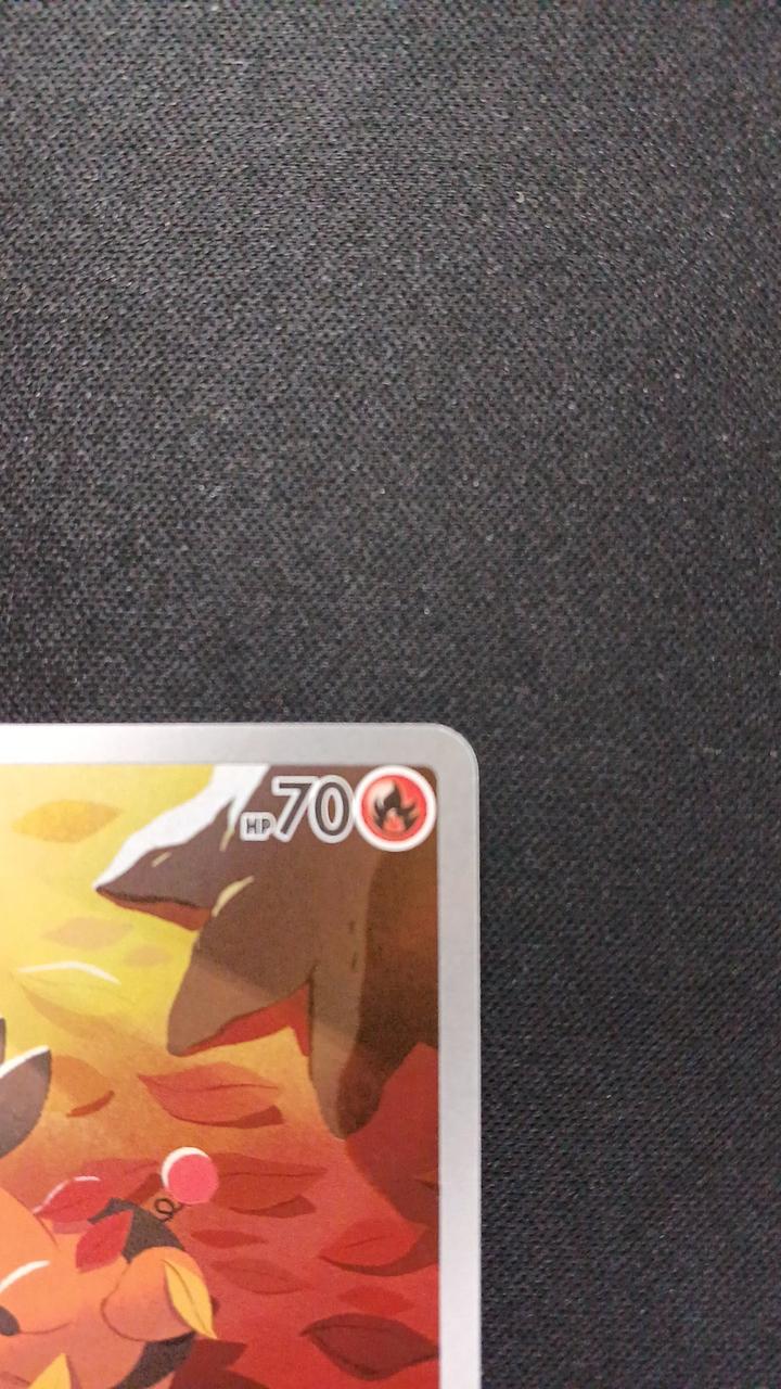 Tepig - Image 3