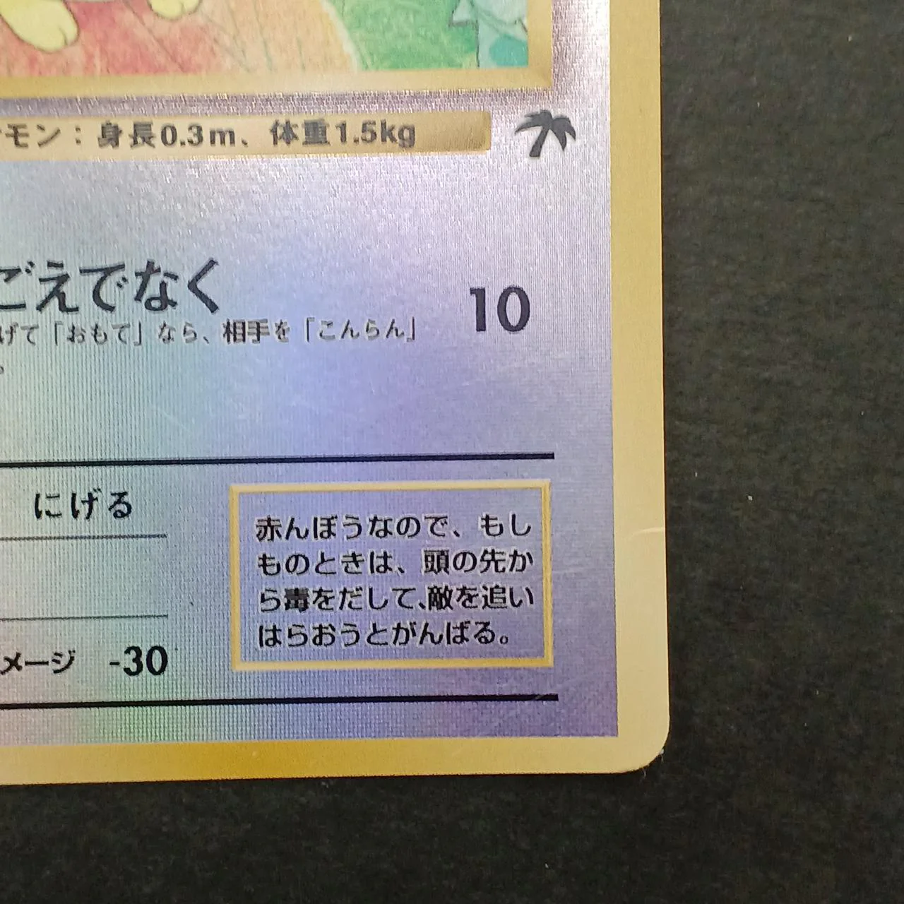 Togepi Old Back Tropical Island - Image 15