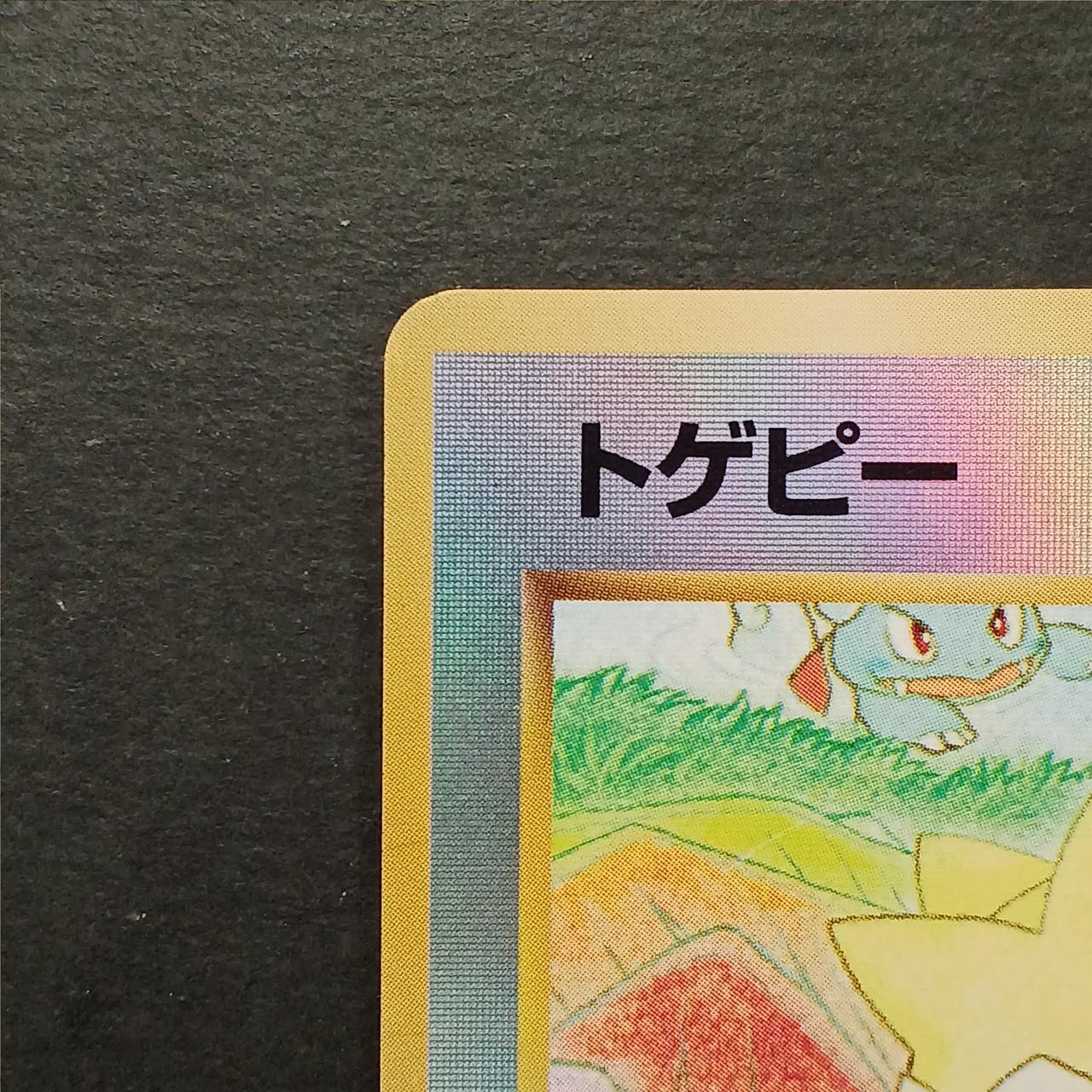 Togepi Old Back Tropical Island - Image 3