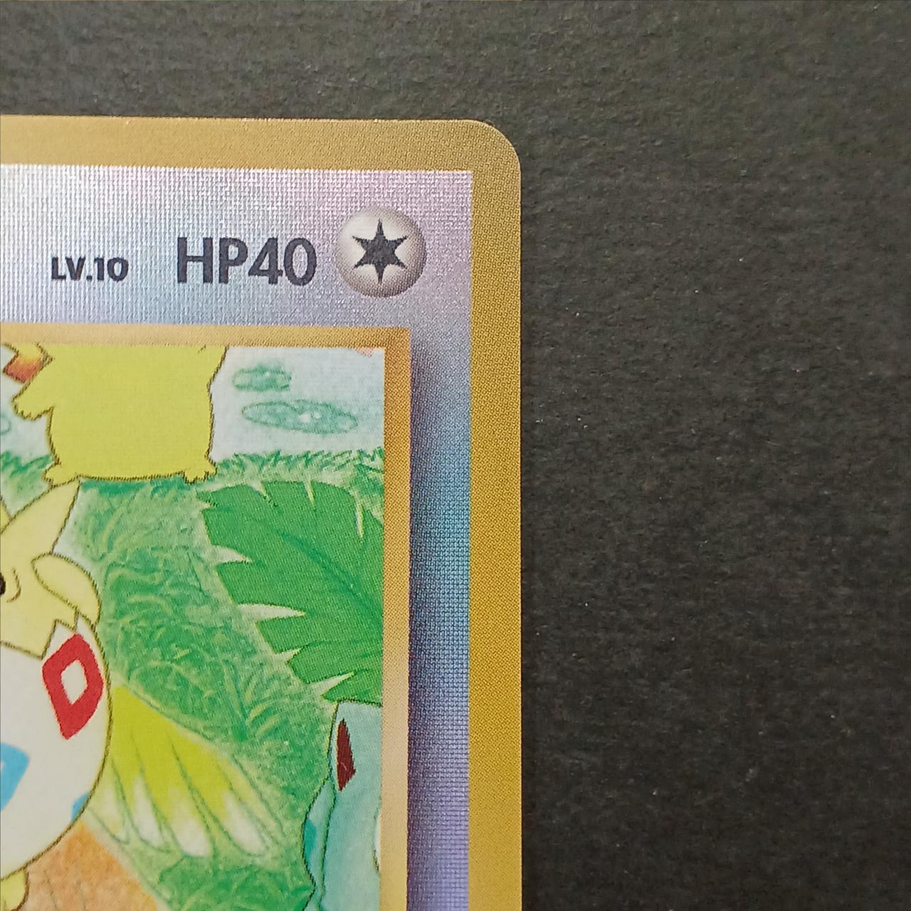 Togepi Old Back Tropical Island - Image 4