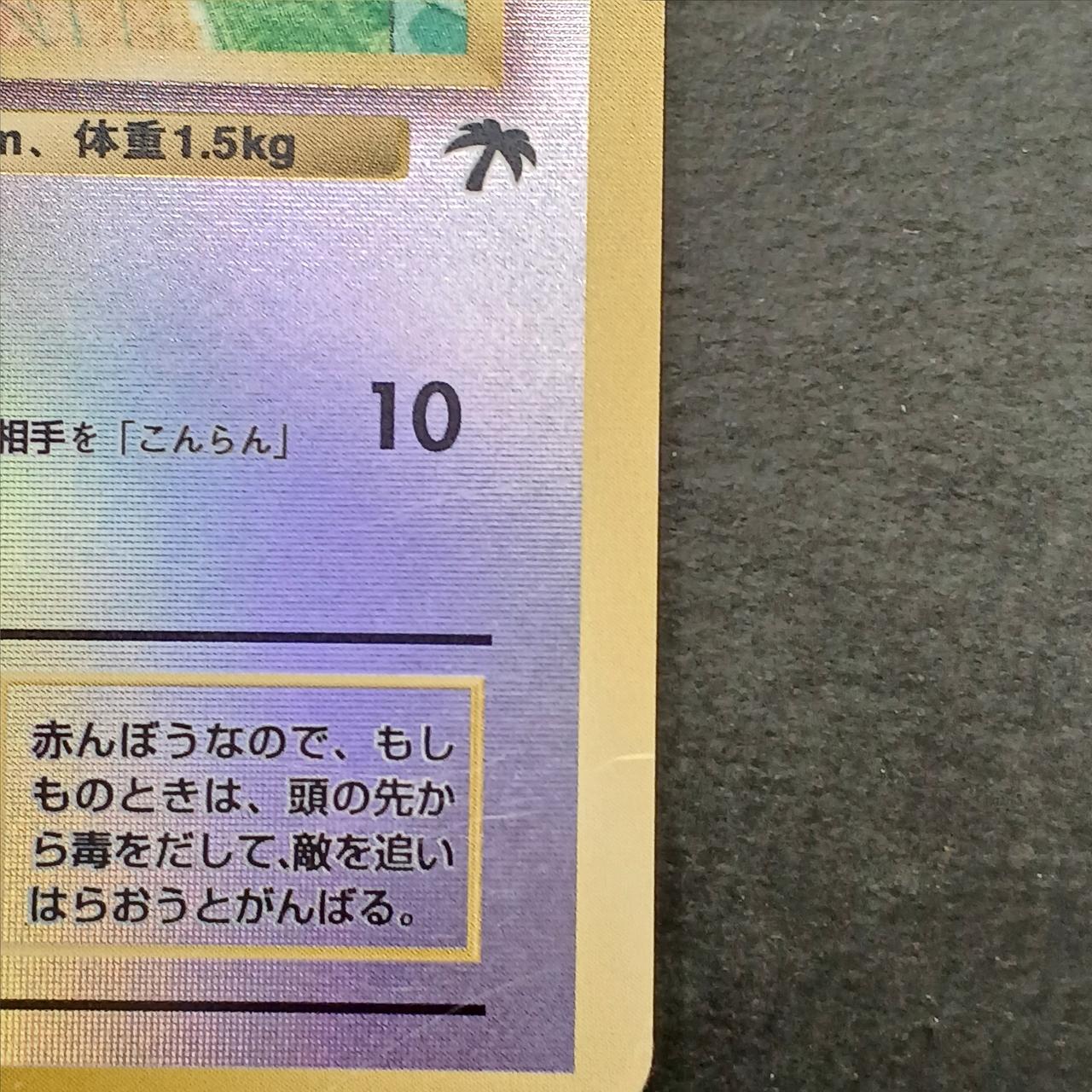 Togepi Old Back Tropical Island - Image 8