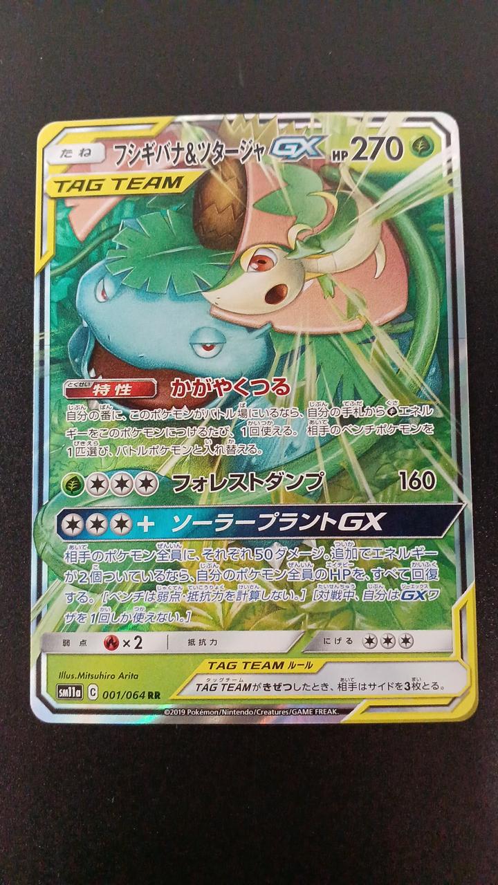 Venusaur & Snivy GX