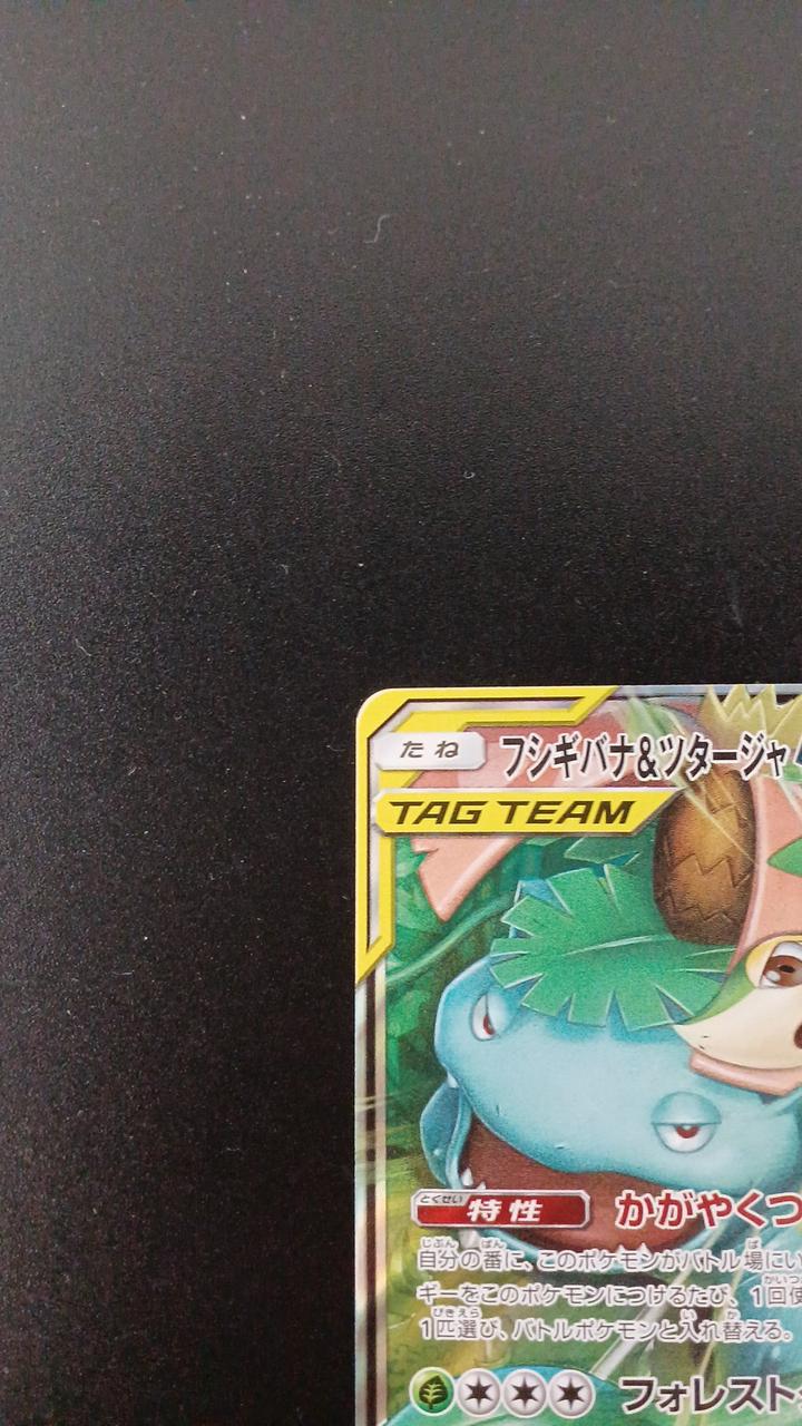 Venusaur & Snivy GX - Image 2