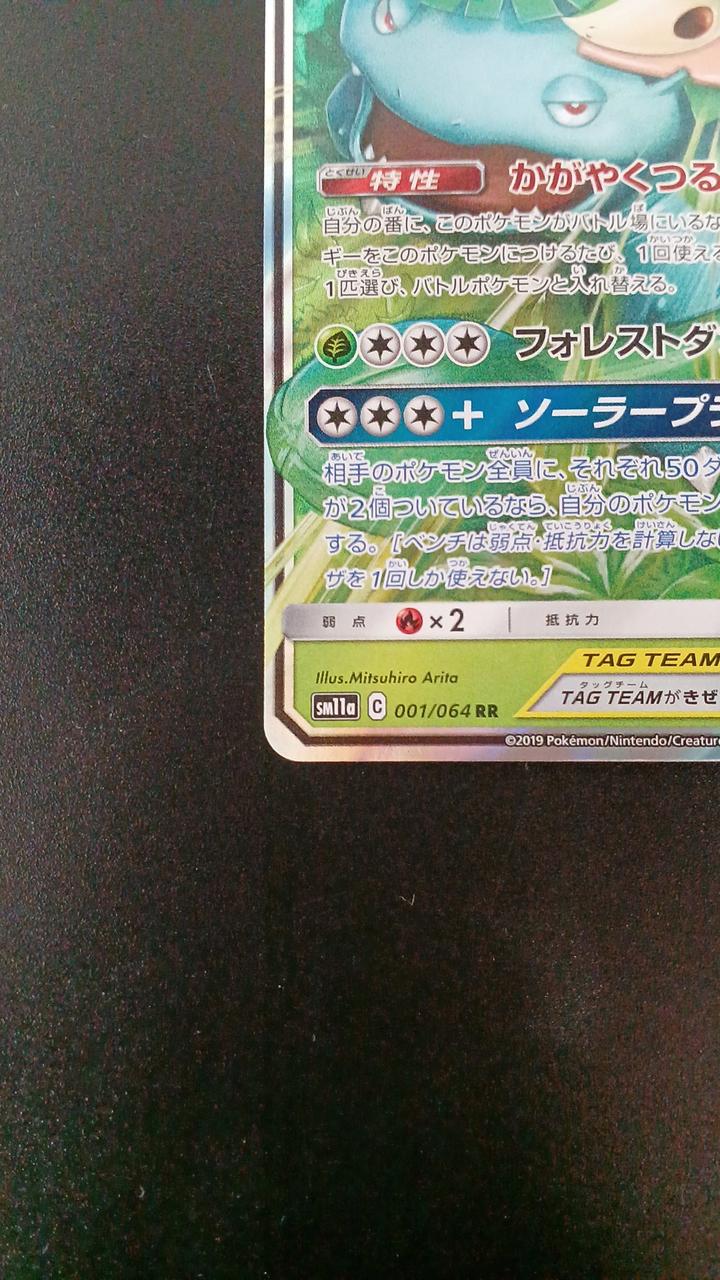 Venusaur & Snivy GX - Image 4