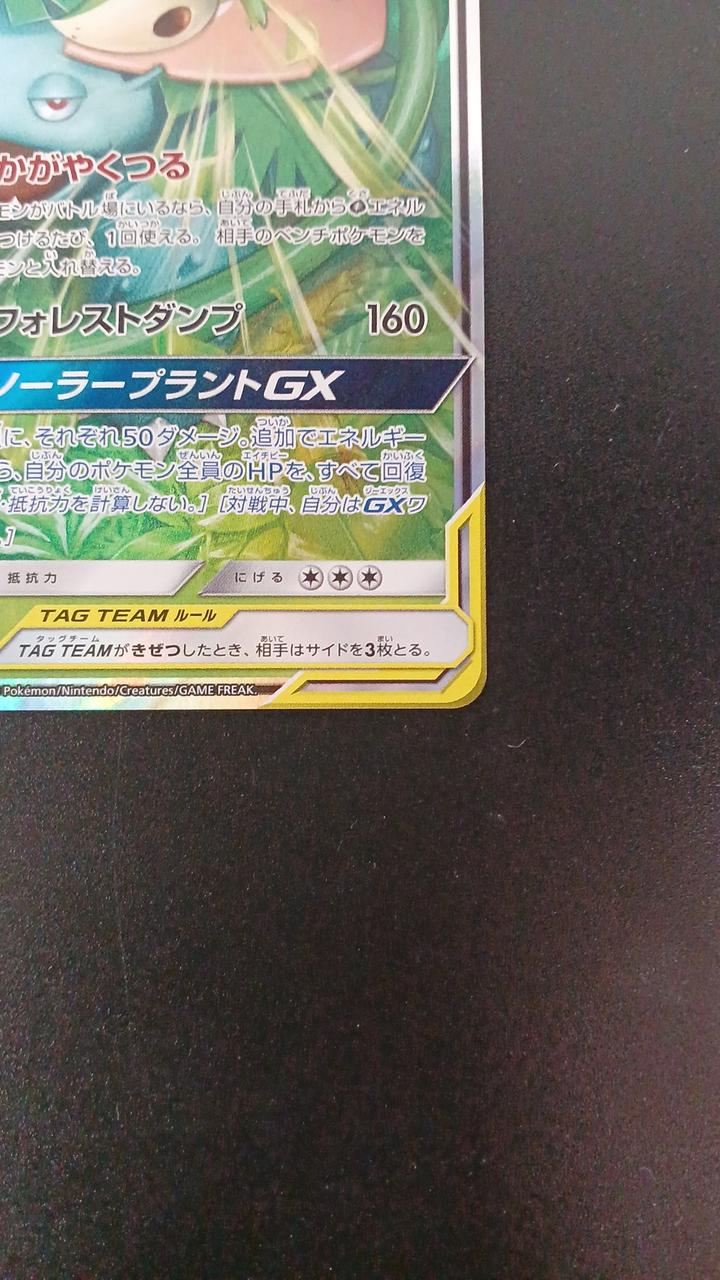 Venusaur & Snivy GX - Image 5